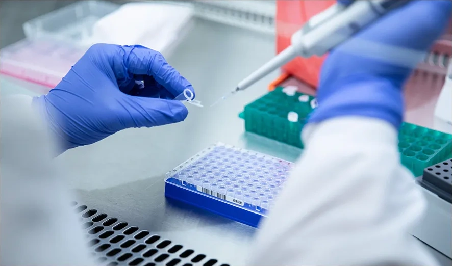 Building Dual Competitiveness in Product Design and Vaping Flavor Through Precision Customization